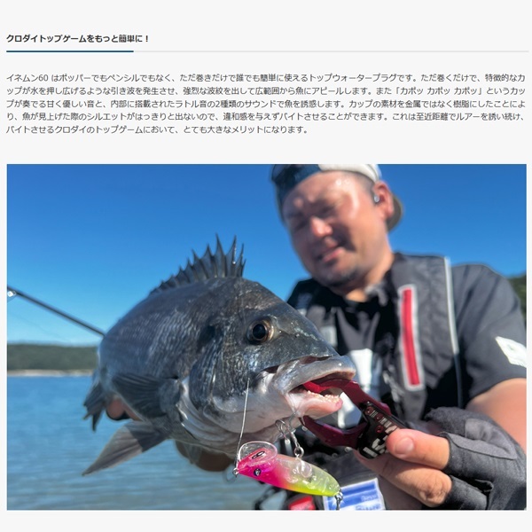 イネムン　６０